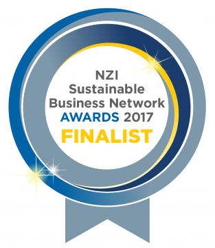 SBN Awards17 Badge Finalist